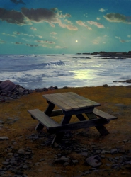 Picnic Table in Moonlight