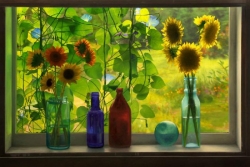 Sunflowers in Cabin Window